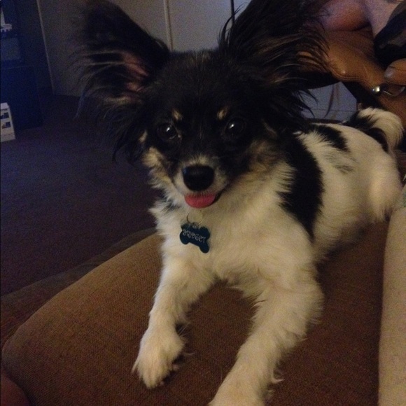 Meet your Posher, Jessica - Picture 1 of 1